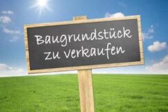Bild6