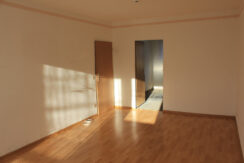 Bild5