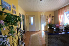 Bild11
