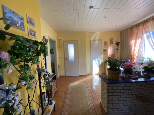 Bild11