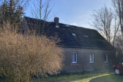 Bild4