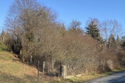 Bild5