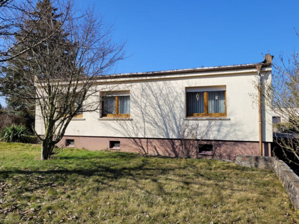 Bild1