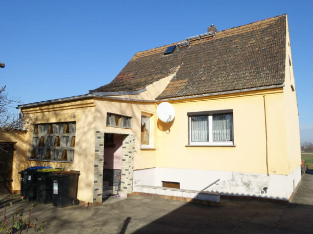 Bild5
