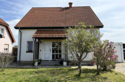 Bild1