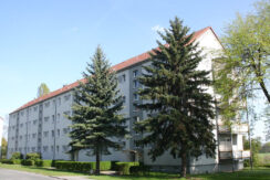 Bild4