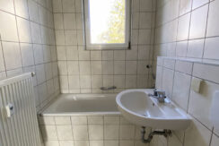 Bild8