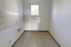 Bild7
