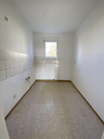 Bild7