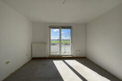 Bild6