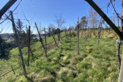 Bild8