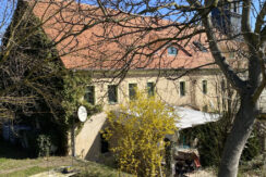 Bild6