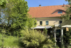 Bild4
