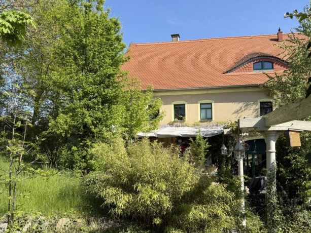 Bild4