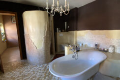 Bild11