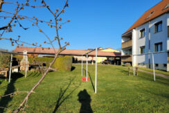 Bild3