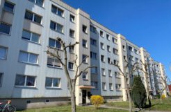 Bild1
