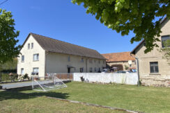 Bild4
