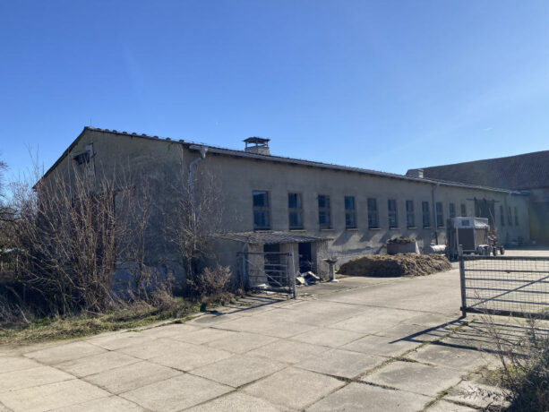 Bild6