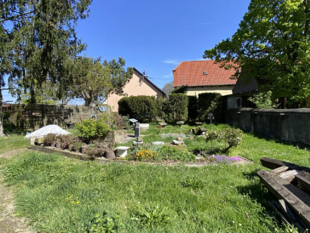 Bild4