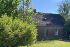 Bild5