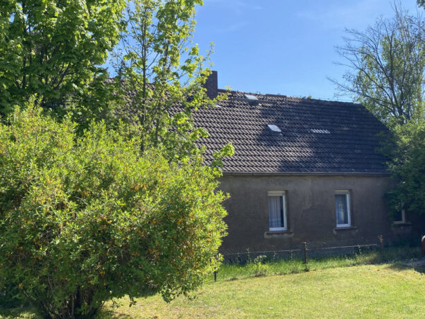 Bild5