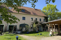 Bild1