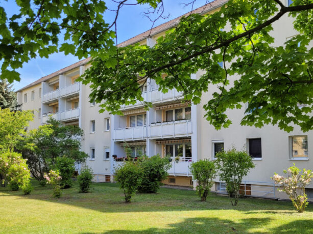 Bild1
