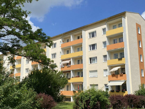 Bild1
