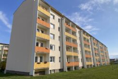 Bild5