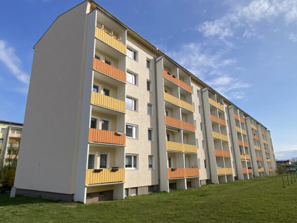 Bild5