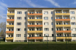 Bild6