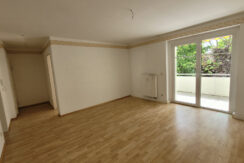 Bild6
