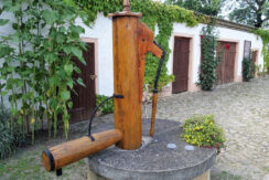 Bild6