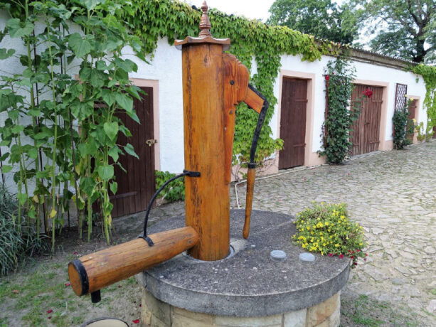 Bild6