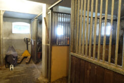 Bild18