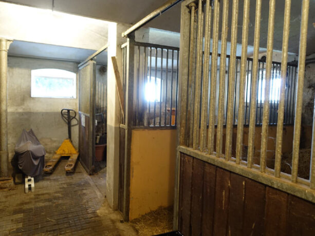 Bild18
