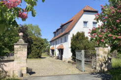 Bild1