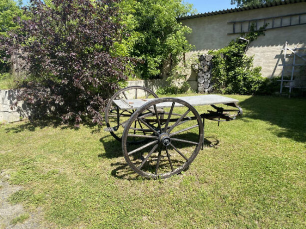 Bild12