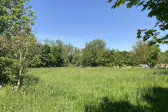 Bild11