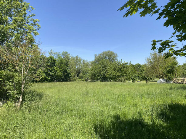 Bild11