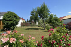 Bild8