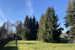 Bild6