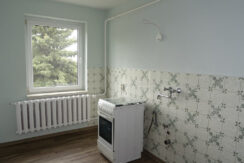 Bild15