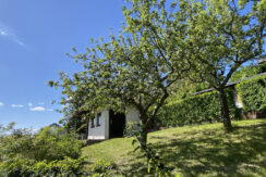 Bild7