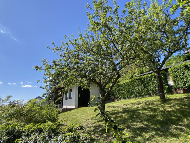Bild7