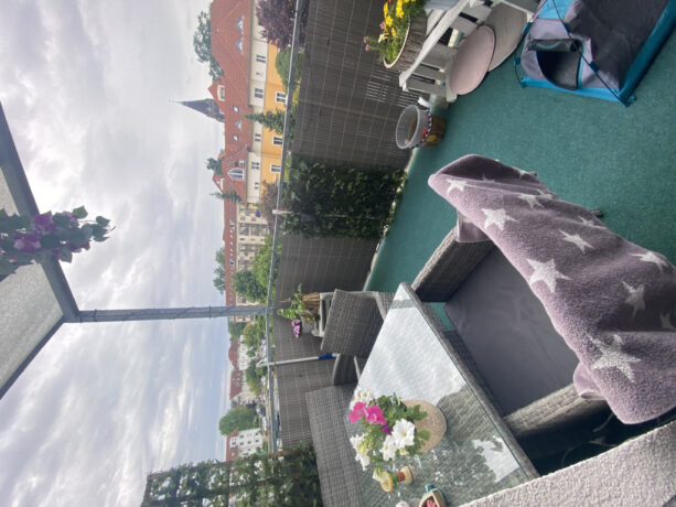 Bild6