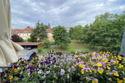 Bild6