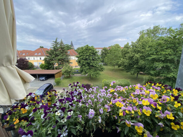 Bild6