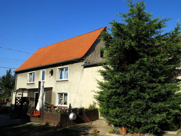 Bild1